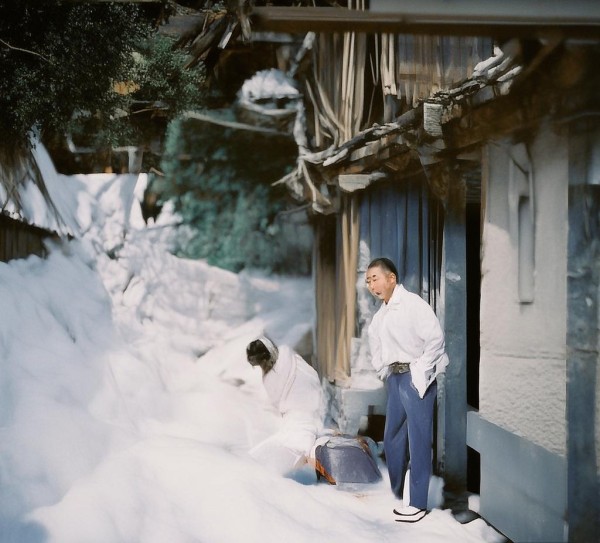 黑龙江省农业政策动态，政策驱动与产业升级并进，筑牢粮食安全基石，赋能乡村振兴