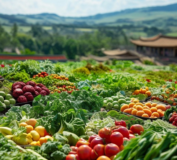 农业开发产品名称汇总,常见类别与典型示例分析